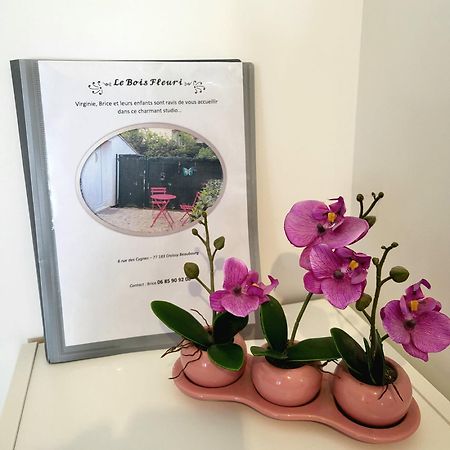 Maison Studio Le Bois Fleuri Croissy-Beaubourg Kültér fotó